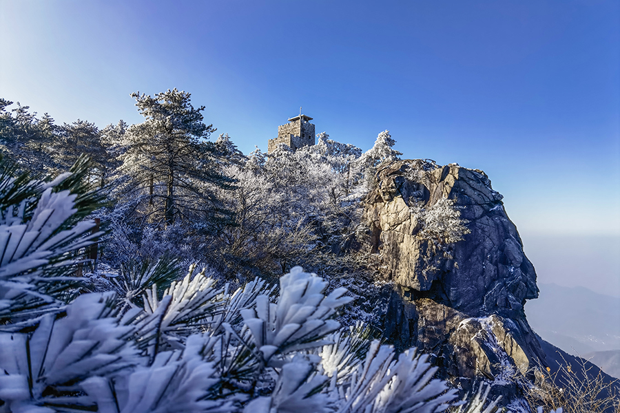 12月13日清晨的天堂寨風景區，霧凇挂滿枝，瑞雪遍山林。李勝利攝 