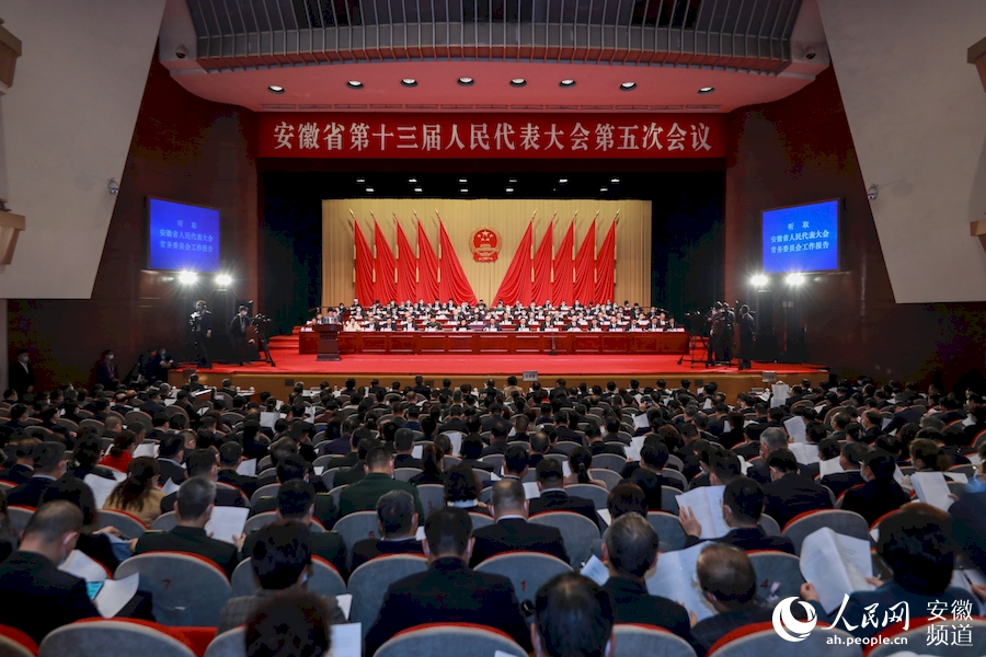 安徽省十三届人大五次会议第二次全体会议。人民网 张俊摄