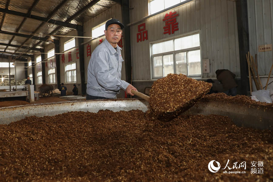 把發酵好的酒醅上甄，進行二次蒸制。人民網 張俊攝