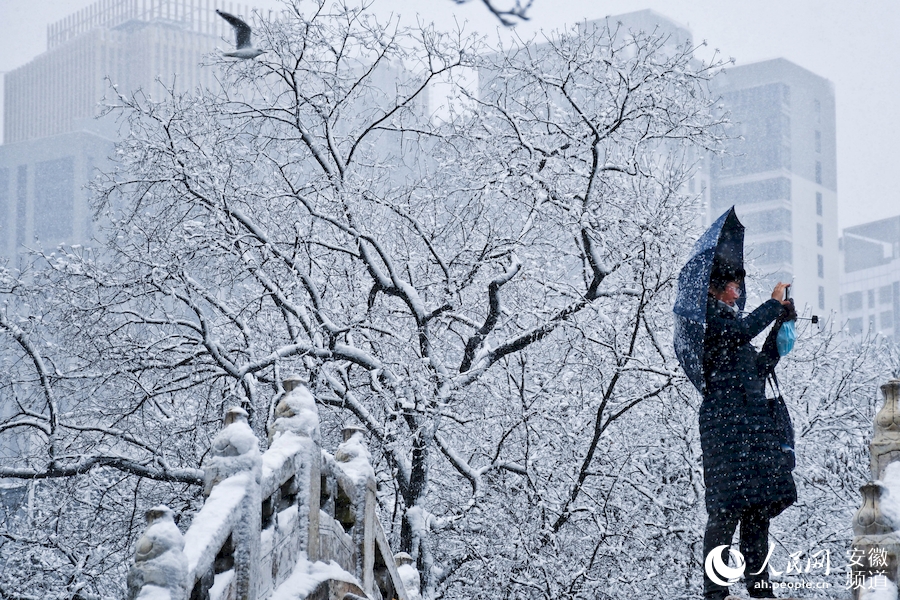 合肥包公園，市民摘下口罩拍攝雪景。人民網 周坤攝