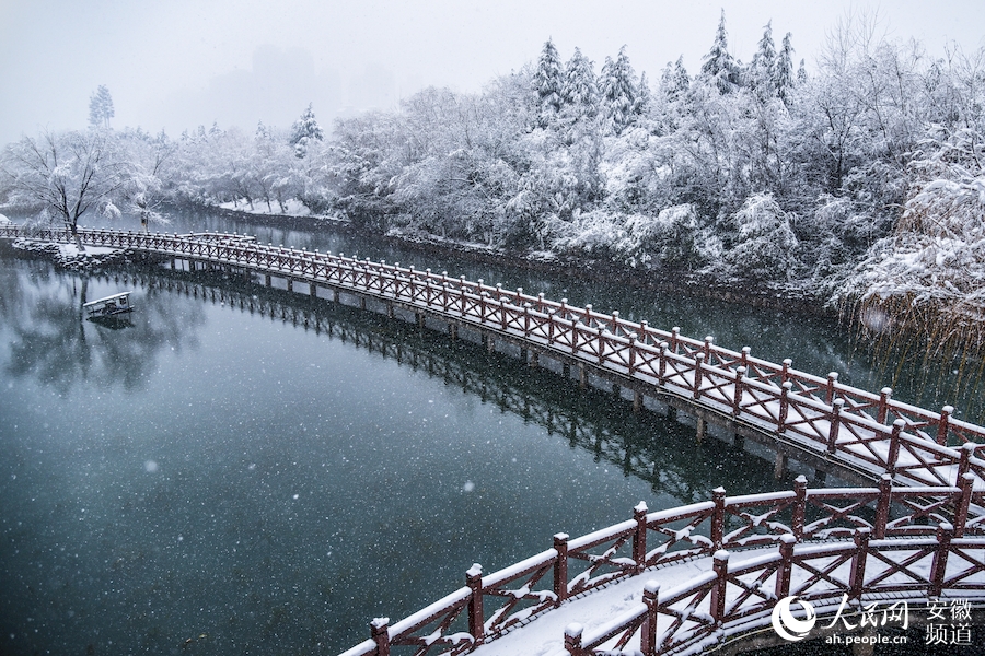 合肥迎來降雪。人民網 李希蒙攝