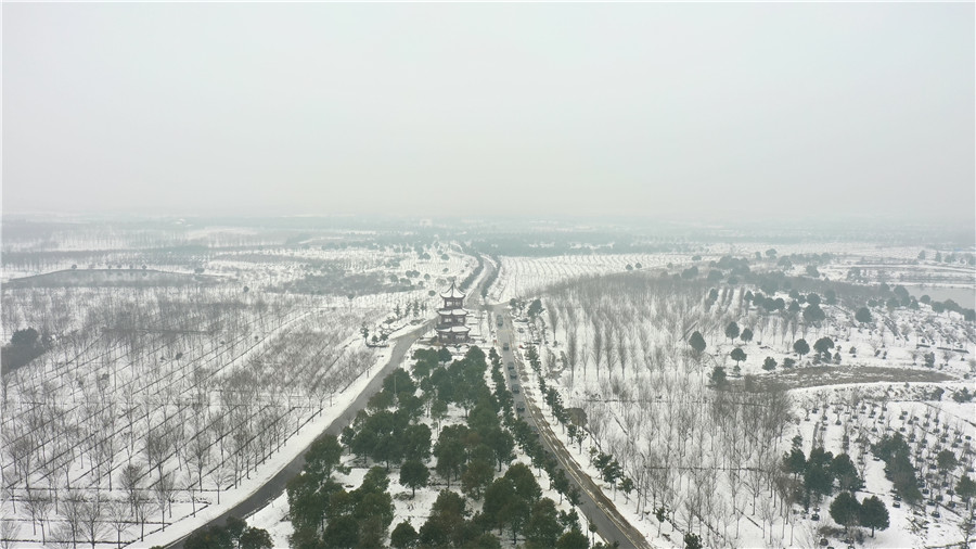 官亭林海景觀亭雪景。董湛攝