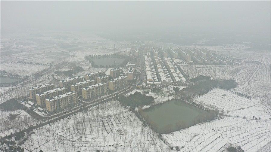 官亭林海張祠村雪景。董湛攝