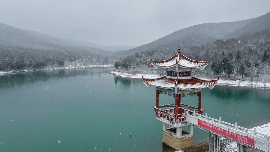 虎年春雪美如畫。馮樹風攝