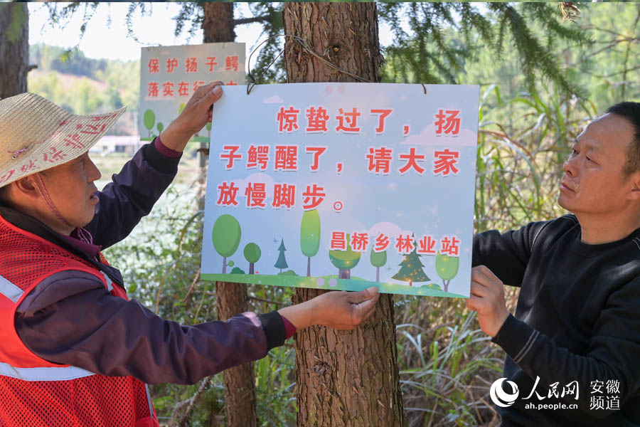 姚根深和乡林业干事在保护区周边悬挂告示牌。人民网记者 苗子健摄