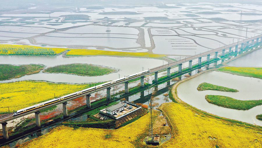 安徽肥东：湿地春色浓