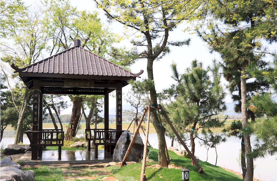 ���ɵ����ۡ������ͼ