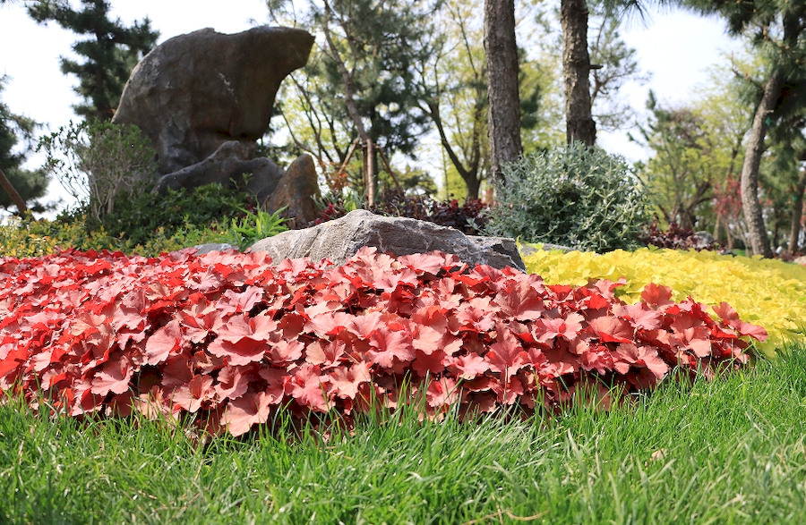 黑松岛景观。卫健皖供图