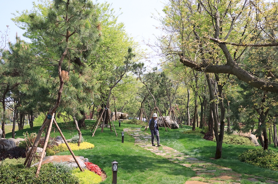 黑松岛景观。卫健皖供图