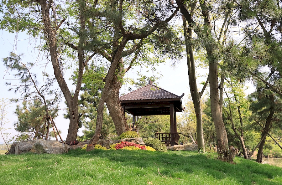 ���ɵ����ۡ������ͼ