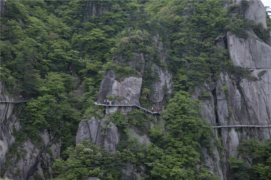 棧道春色