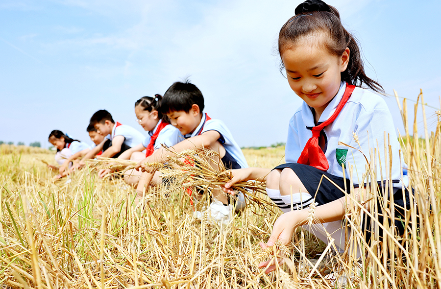 ѧ���Ǽ�ʰ���룬ȷ��������֡�������