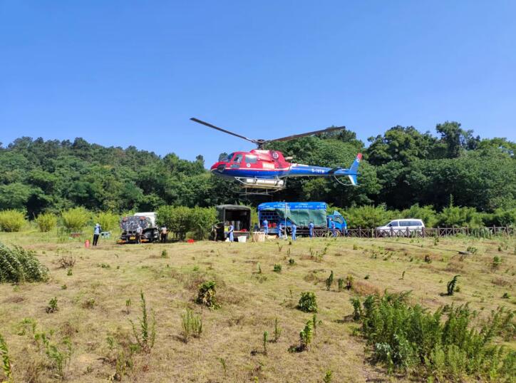 飛防作業現場。任德玲攝