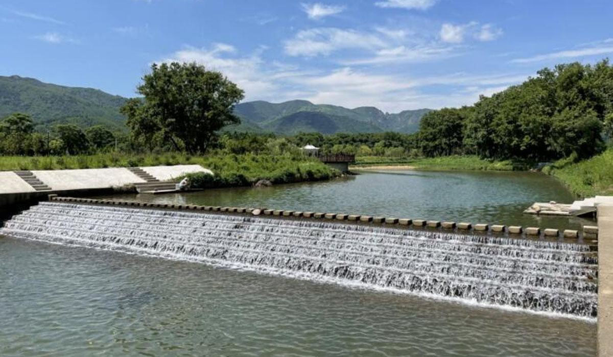 無為市：小流域治山治水 描繪美麗鄉村新畫卷