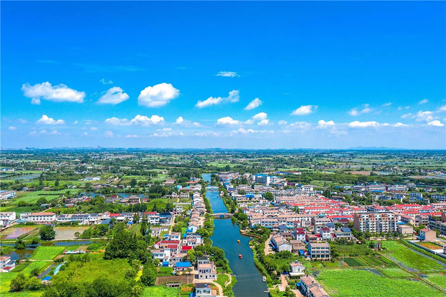 芜湖市湾沚区陶辛镇：水清荷香生态美【6】