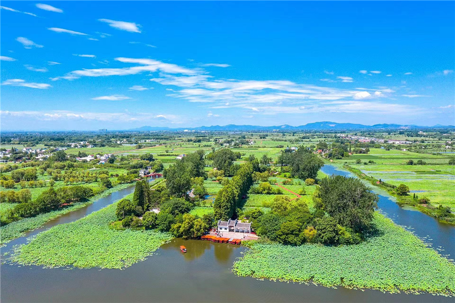 芜湖市湾沚区陶辛镇：水清荷香生态美【5】