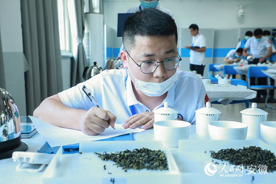 大赛设置多样赛程，从专业理论、茶形辨识、香味排序等多个模块进行综合考评。人民网 陶涛摄