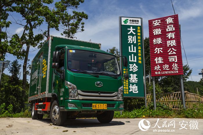 搭上邮政快车,小小香菇开启了走向全国的旅程。人民网 李希蒙摄