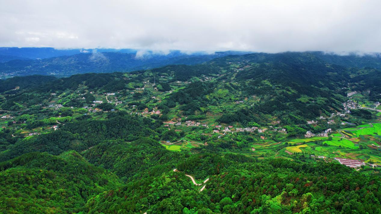 俯瞰蔣潭村。任國輝攝