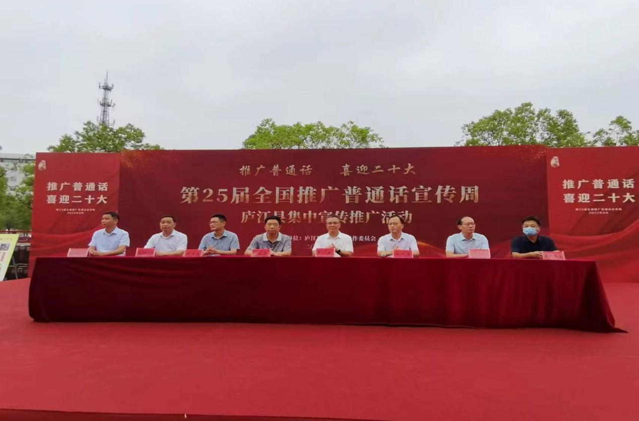 活动现场。庐江县委宣传部供图