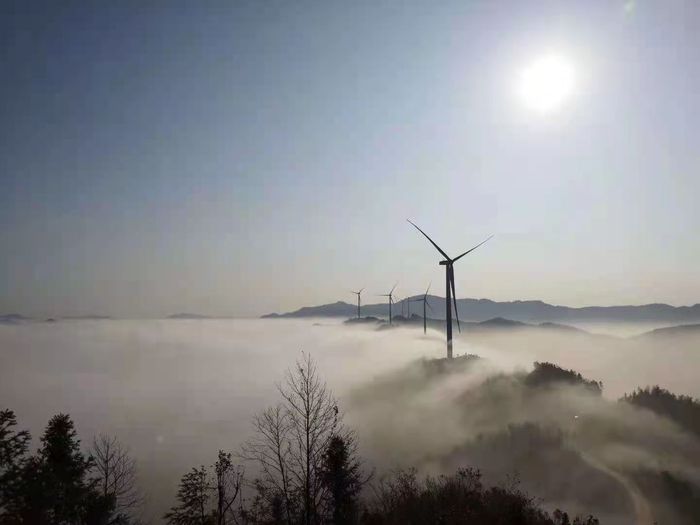 木塔乡乡村景色。汪有民供图