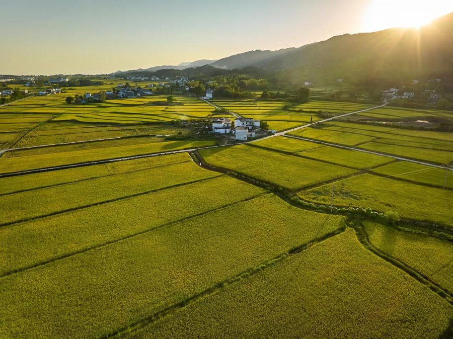 潛山市鄉村美景。王立新攝