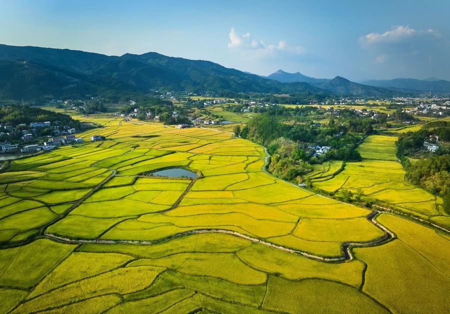 潛山市鄉村美景。王立新攝