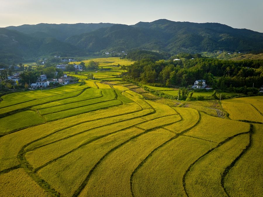潛山市鄉村美景。王立新攝