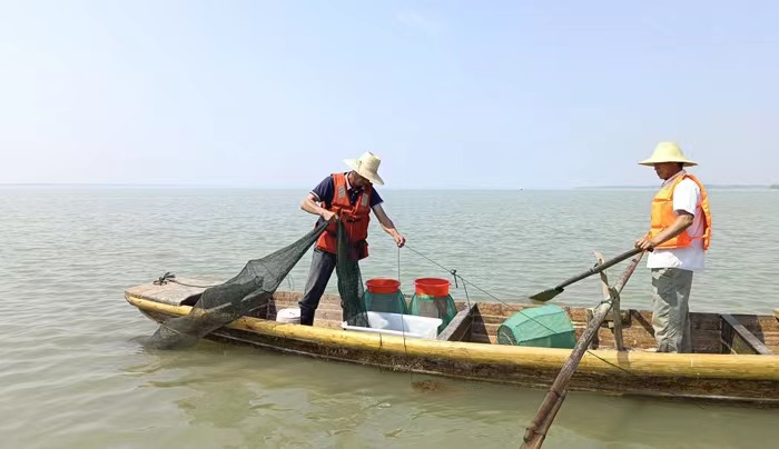 工人正在捕捞螃蟹。望江县委宣传部供图
