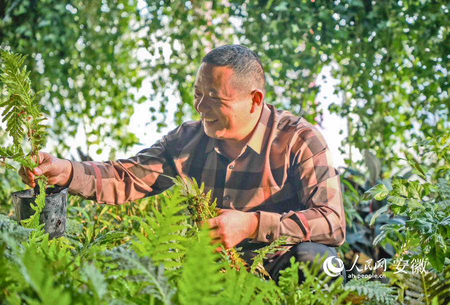 园艺师检查大棚内绿植，大棚内一片绿意盎然。人民网 陶涛摄