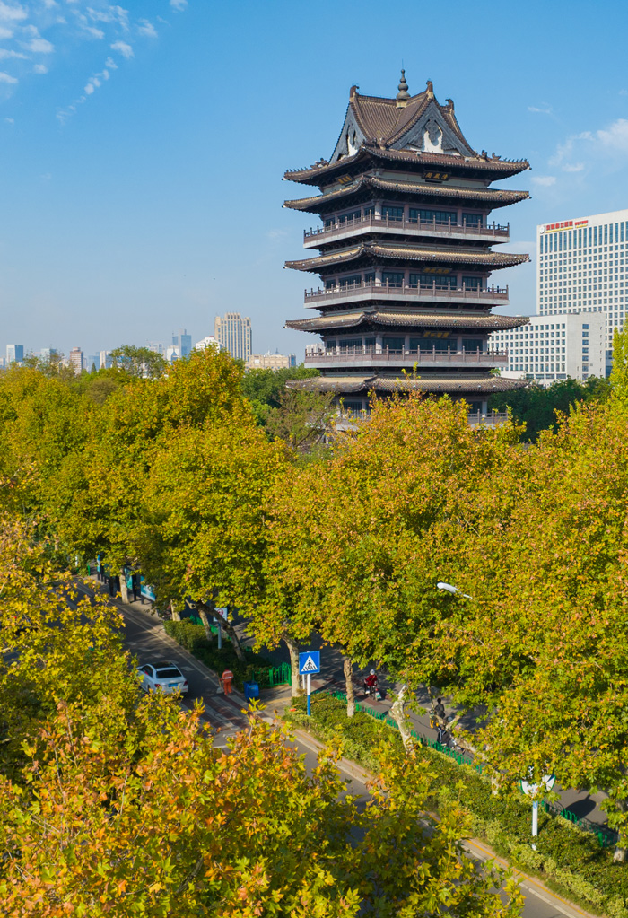 清风阁旁，芜湖路的梧桐树叶开始泛黄，成为街头一道靓丽风景线。
