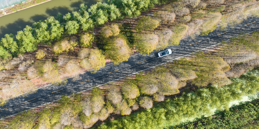 游客自驾穿行在大圩镇的乡间公路上。