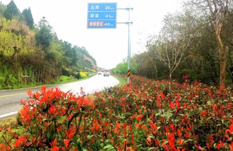 安徽歙县：打生态公路牌  奏绿色发展曲