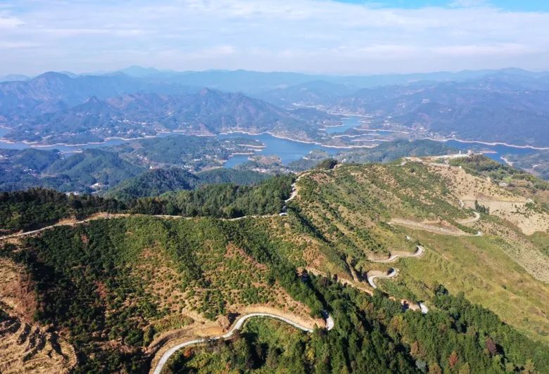 油茶飘香茶农乐