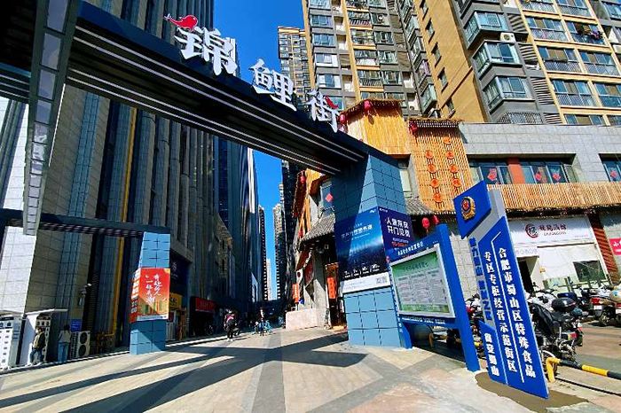 蜀山区首个特殊食品专区专柜经营示范街区在锦鲤街亮相。_结果.jpg