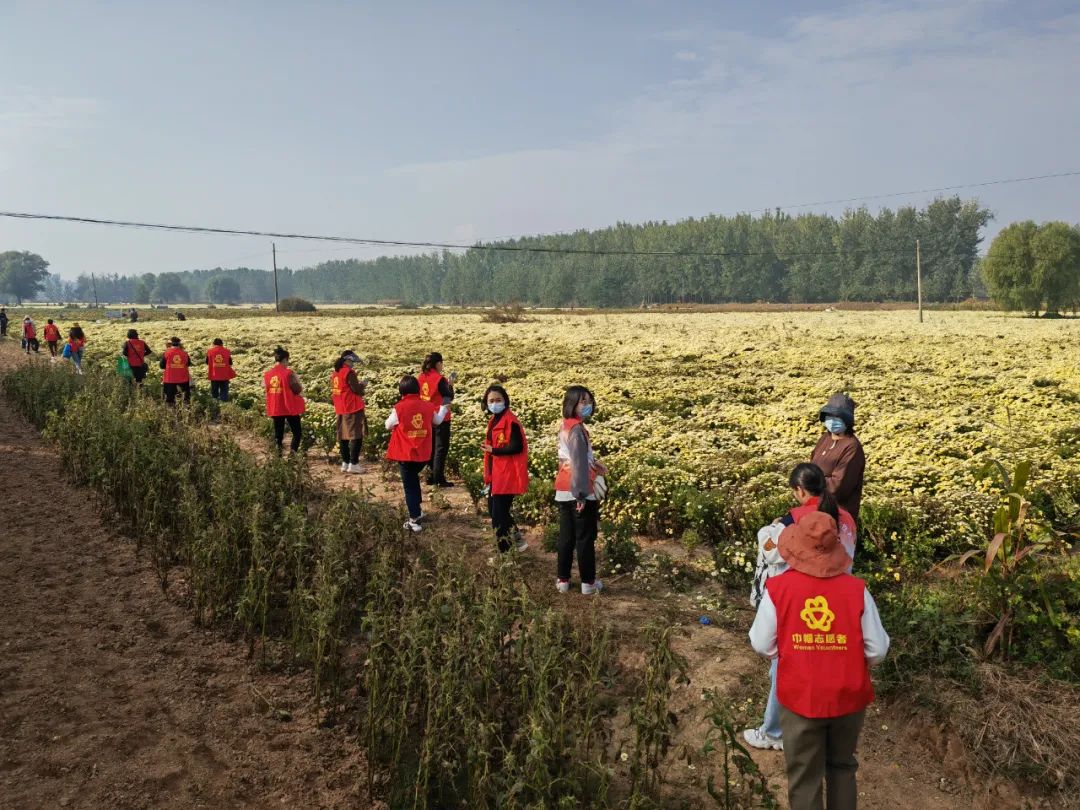 巾帼志愿服务暖民心。相山区委宣传部供图