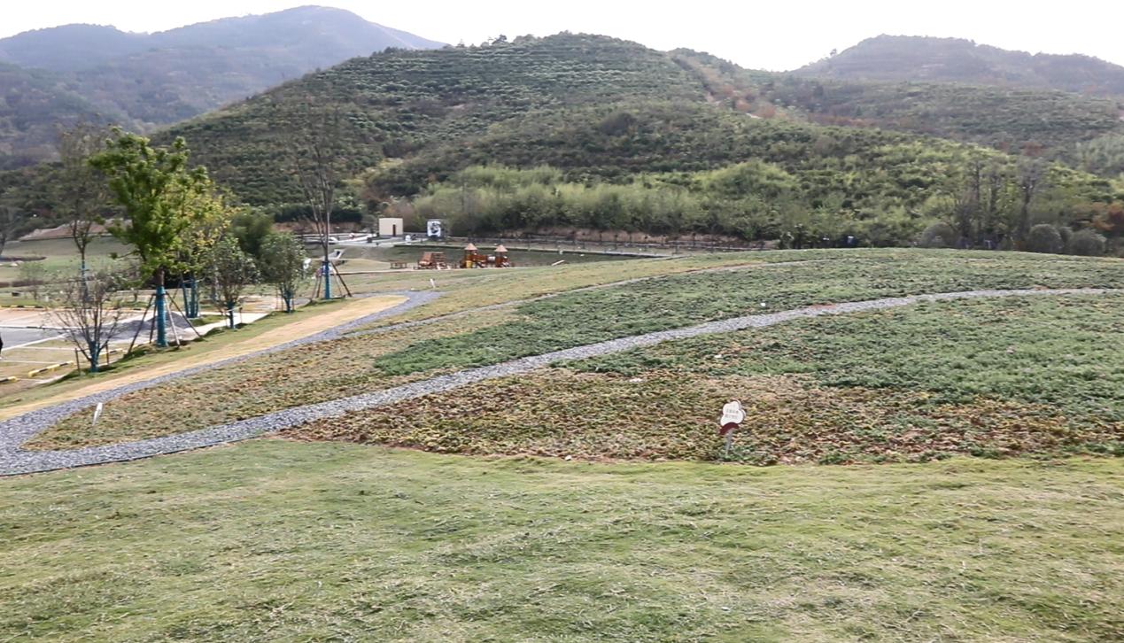 田园风景线。