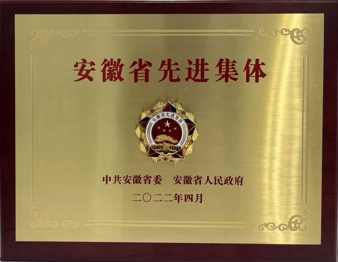 滁州市消防救援支队荣获“安徽省先进集体”称号。滁州市消防救援支队供图