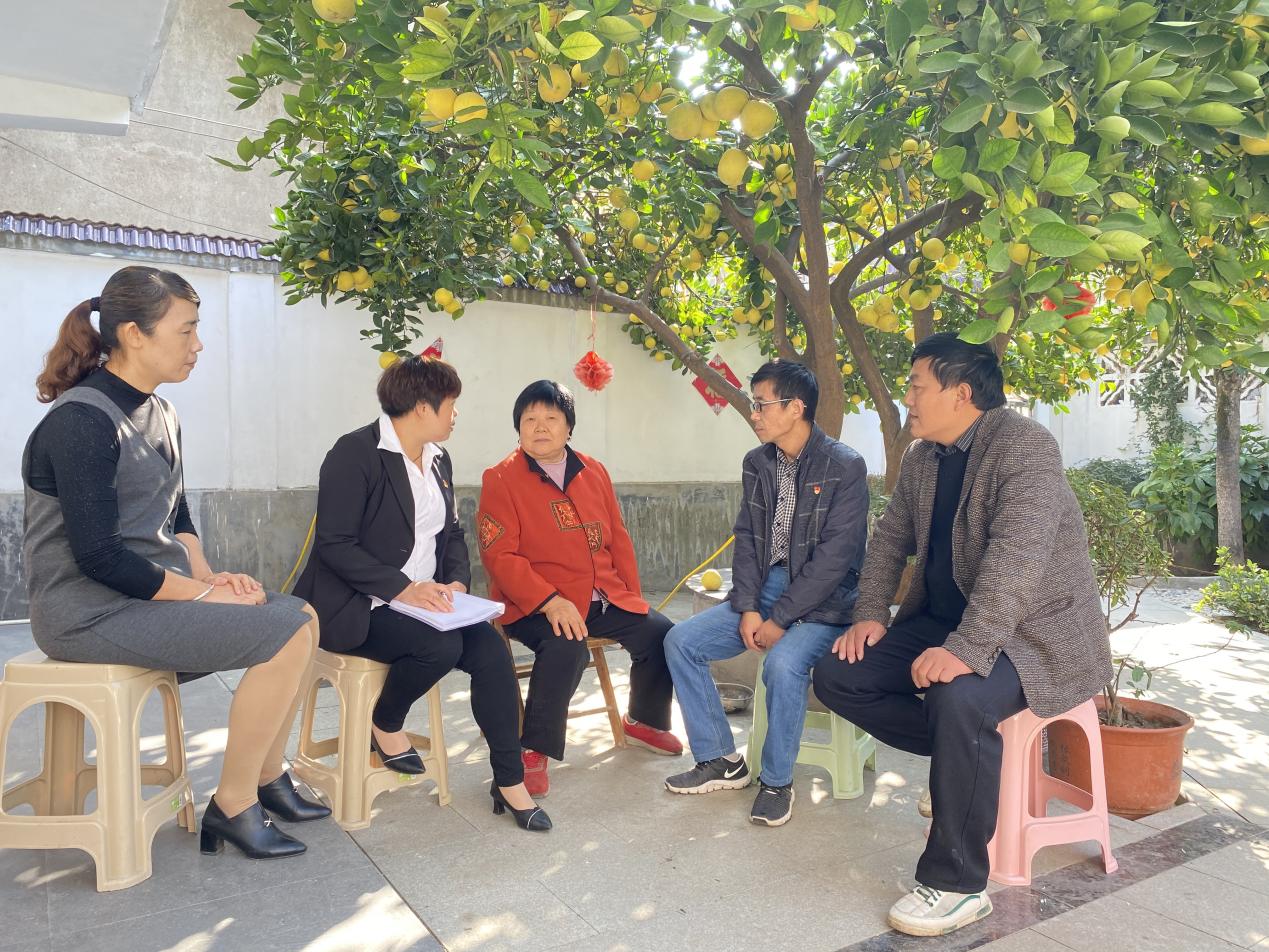 大渡口镇各级人大代表走访群众收集民意