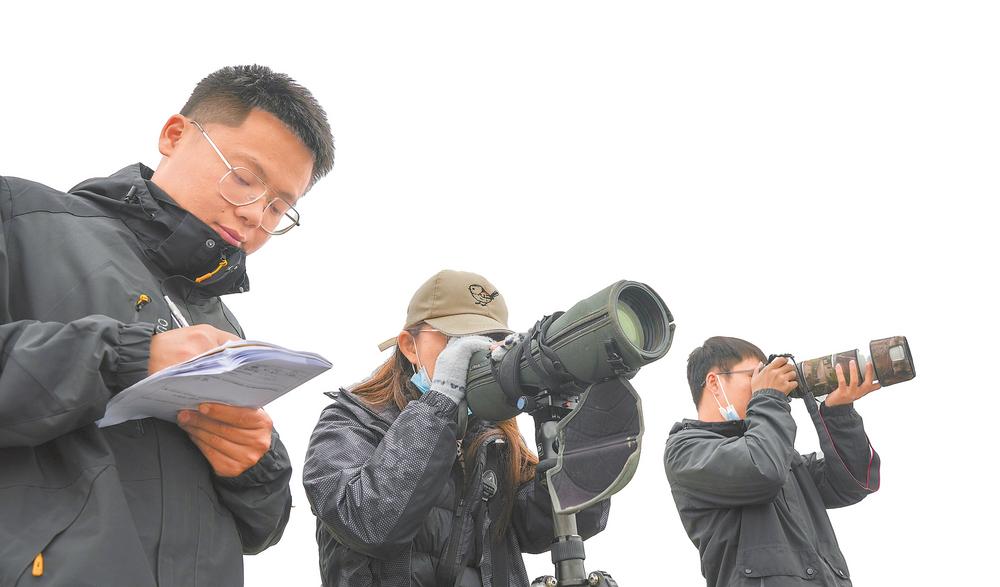 11月22日，在合肥市肥东县巢湖岸边的十八联圩，队员们正查看鸟群。记者 李博 摄