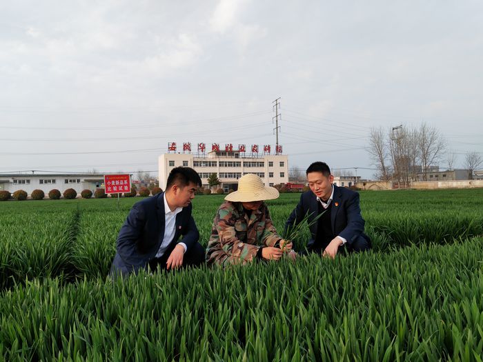 中国光大银行合肥分行：助力种业振兴激活“芯”动能