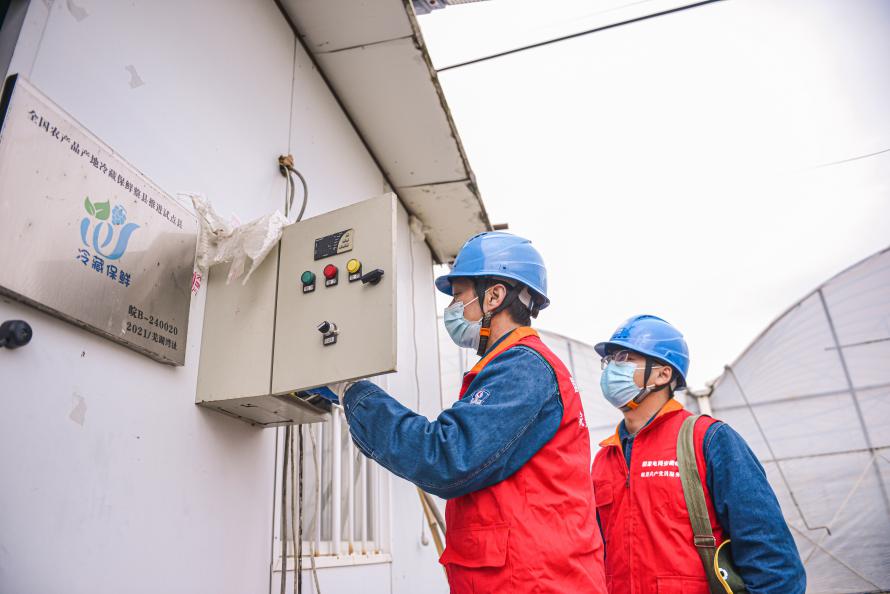 芜湖供电公司组织客户经理对冬季果蔬大棚用电客户进行走访。赵晶晶供图