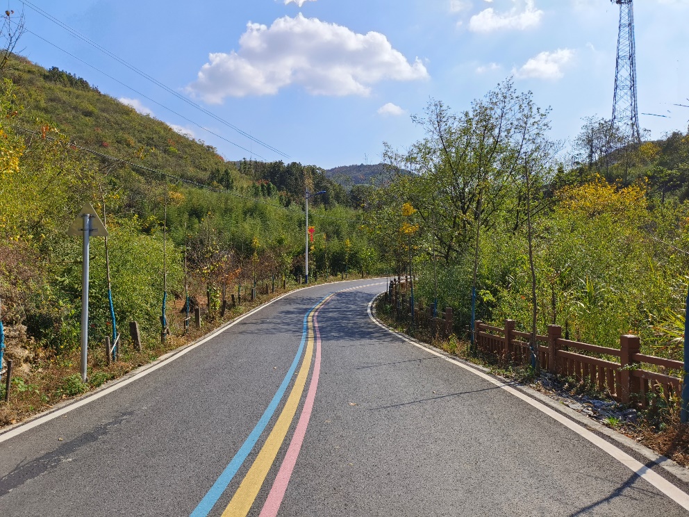 龍山村的彩虹公路。王苗攝