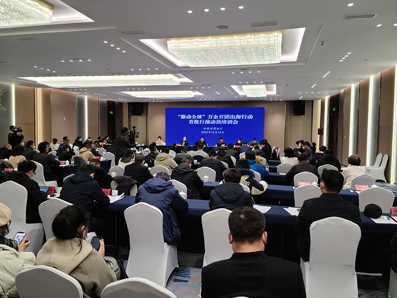 培训会现场。安徽省商务厅供图