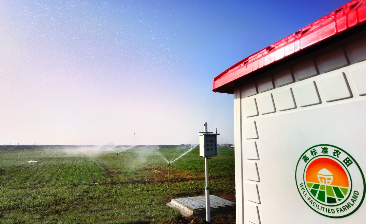 物联网节水灌溉技术应用于农业规模化产业化种植。戚武奇摄