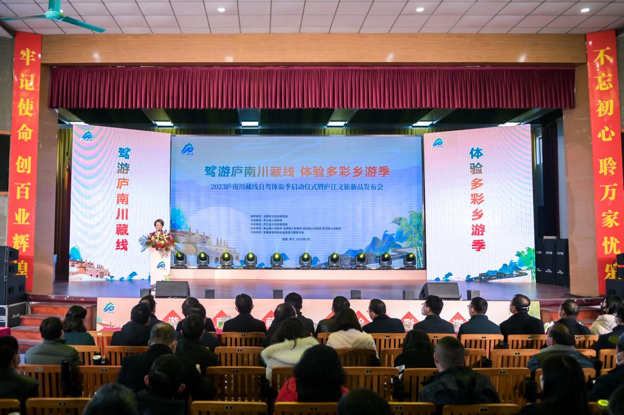 活动现场。庐江县文旅局供图