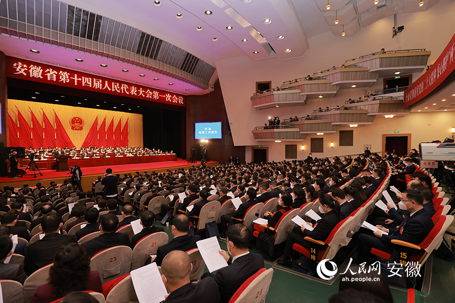 安徽省十四届人大一次会议现场。人民网 王晓飞摄