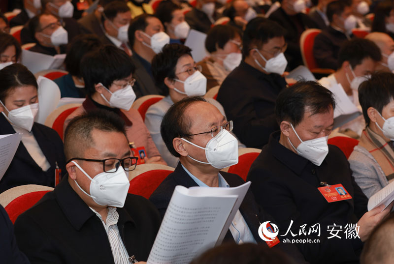 安徽省政协十三届一次会议第二次全体会议。人民网 张俊摄