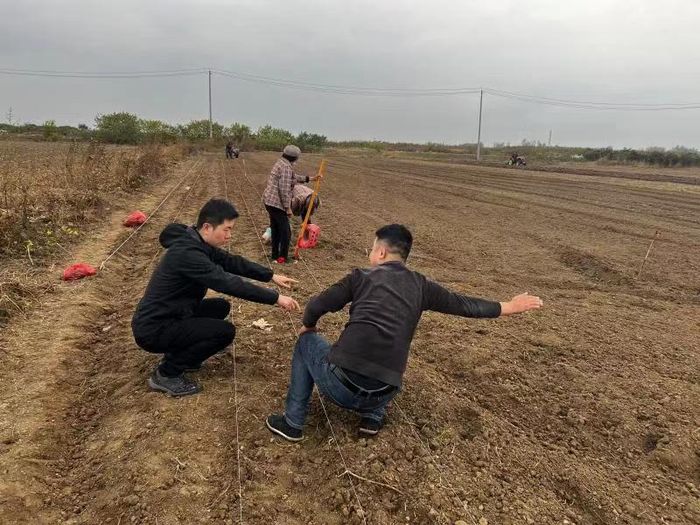 驻村工作队引进山东专业种植人员指导村民栽植花卉。郭琼摄