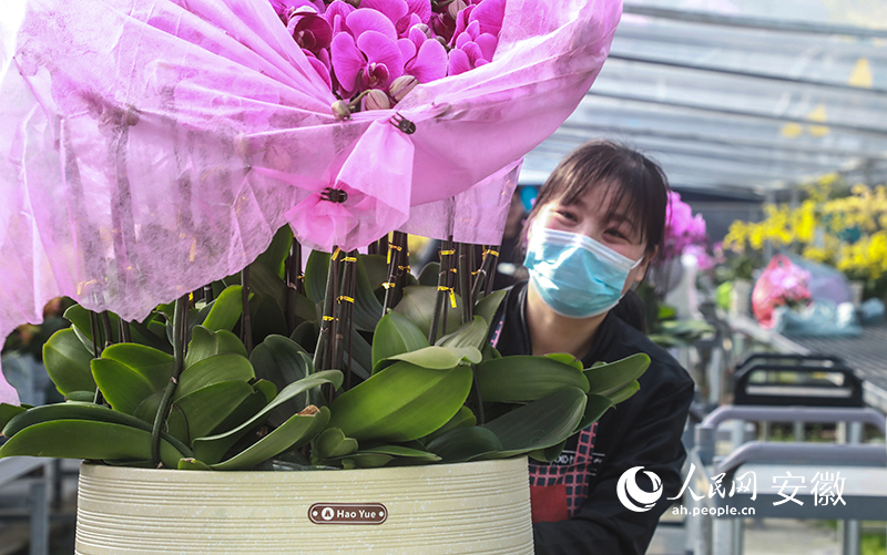 在上派镇兰君园艺种植基地里，园艺工人正在给客户送花。人民网 陶涛摄